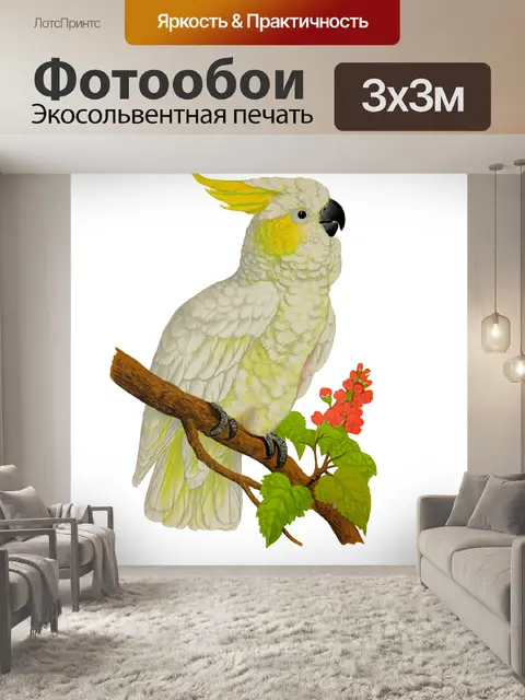 Фотообои Какаду Винтаж Клипарт