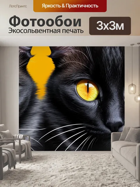 Фотообои с черной кошкой