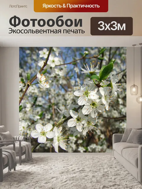 Фотообои Расцветает