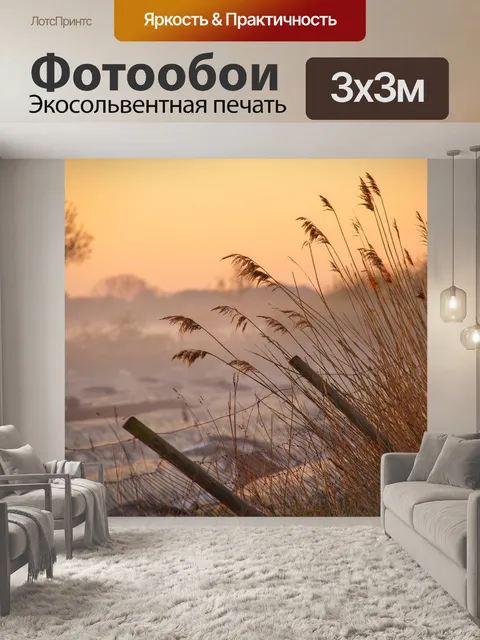 Фотообои Туман