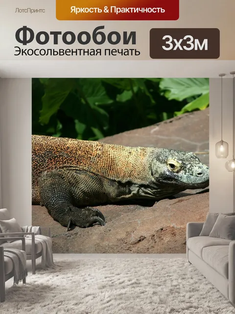 Фотообои Дракон комодо