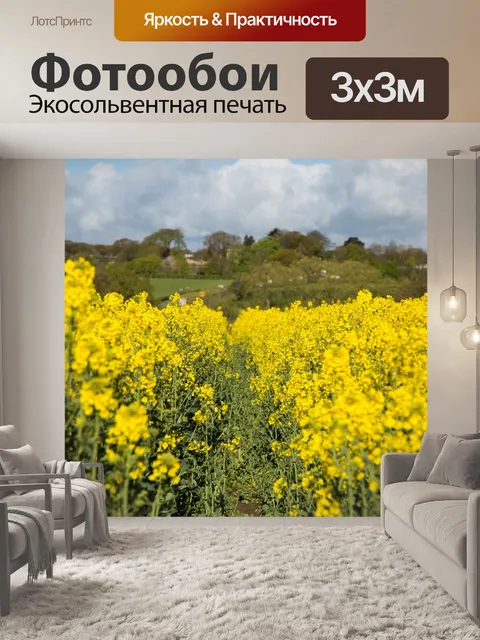Фотообои Область желтого рапса
