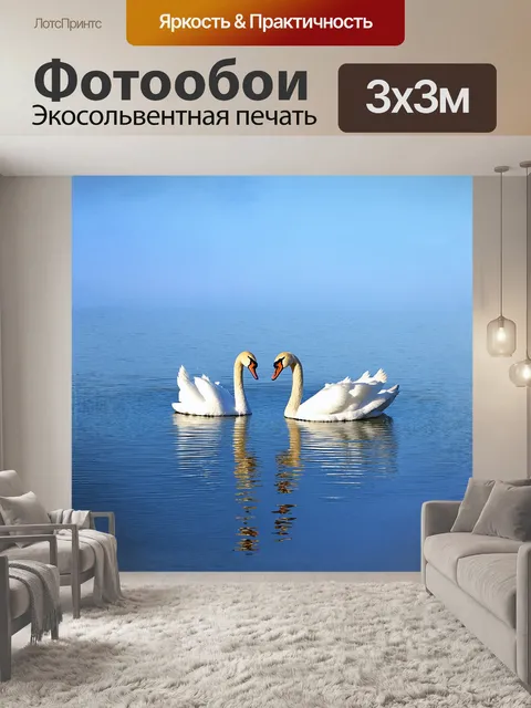 Фотообои пара лебедей парит над гладким озером, их тени сливаются с водной гладью