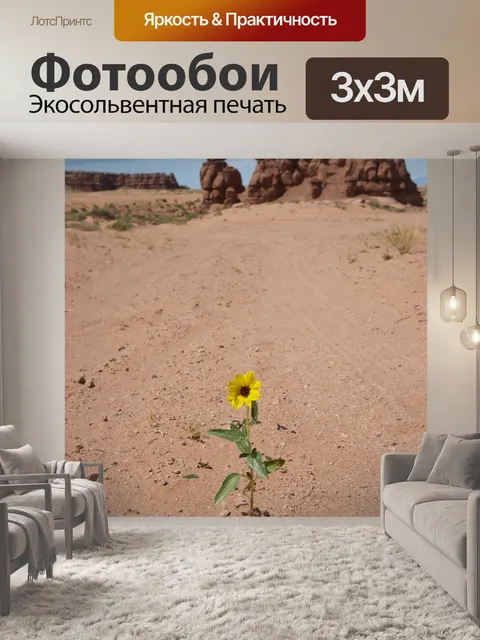 Фотообои Полевой цветок в штате Юта пустыни
