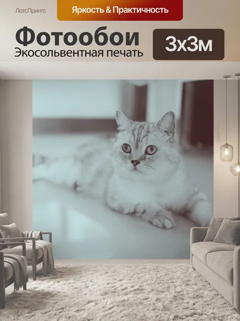 Фотообои Домашний питомец