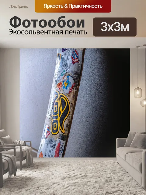 Фотообои Skate совет