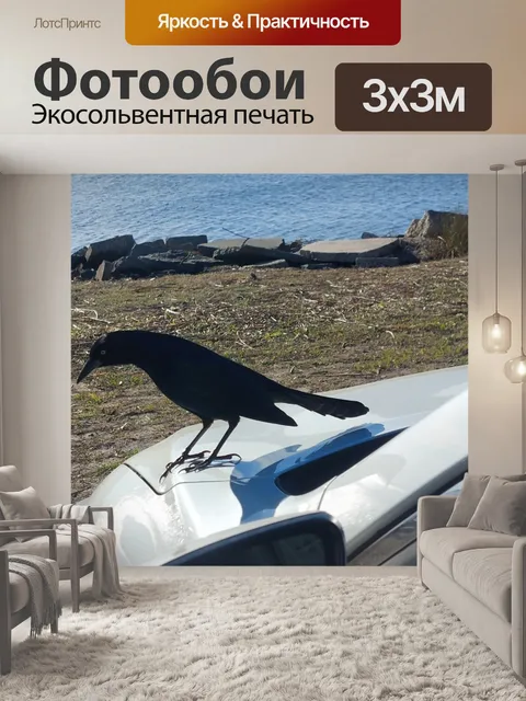 Фотообои Черная птица Белая машина