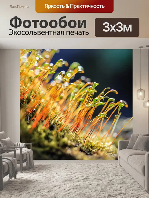 Фотообои Мосс