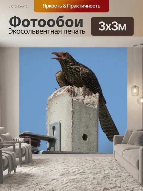 Фотообои Животное