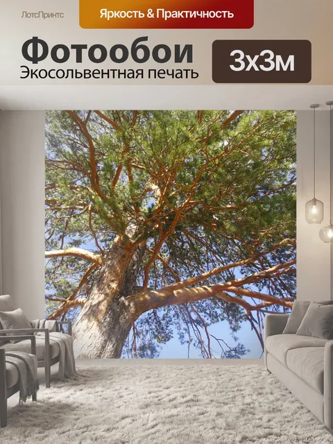 Фотообои Дерево в лесу