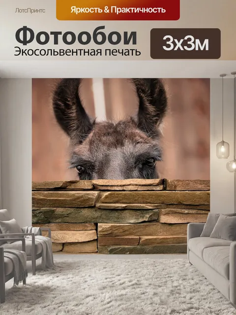 Фотообои Лама
