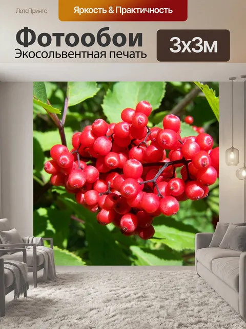 Фотообои Ягодный урожай