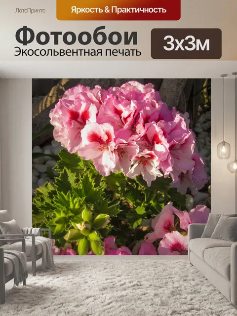 Фотообои розовые средиземноморские цветы