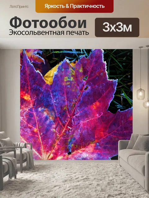Фотообои Осенний лист