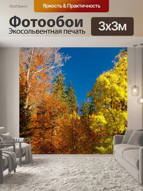 Фотообои Осенние деревья