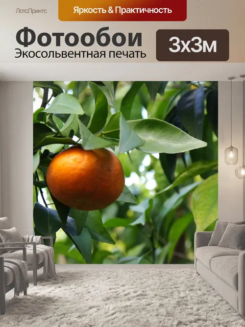 Фотообои Мандарин и зеленые листья