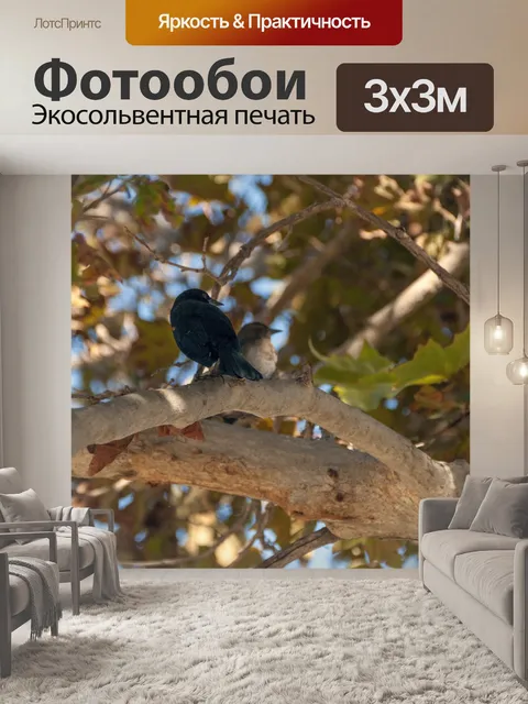 Фотообои Красное плечо Черная птица