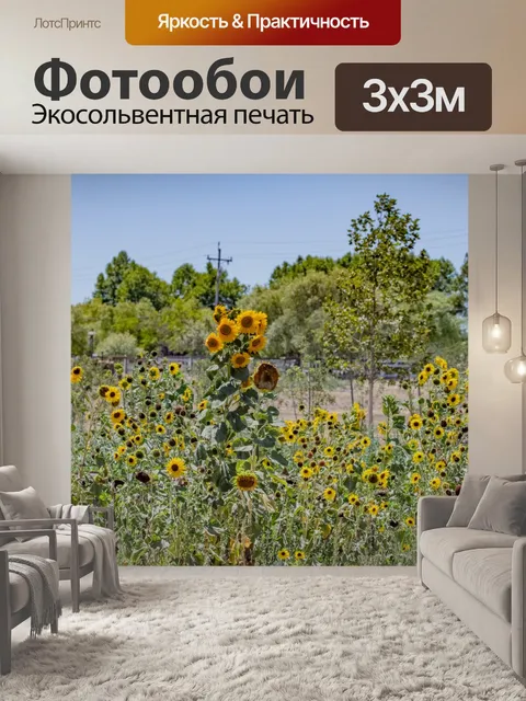 Фотообои Поле подсолнухов