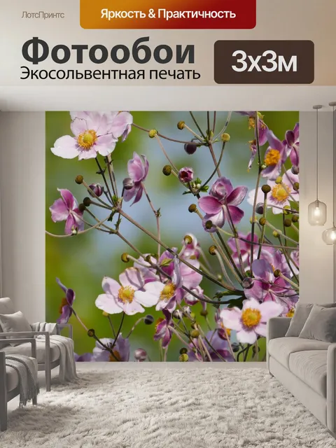 Фотообои Природа