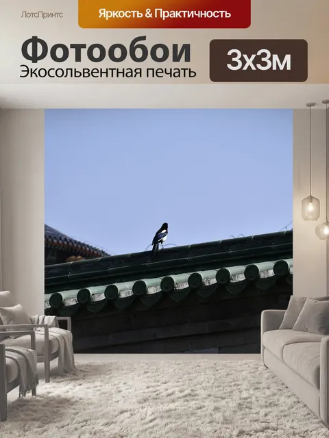 Фотообои Здание