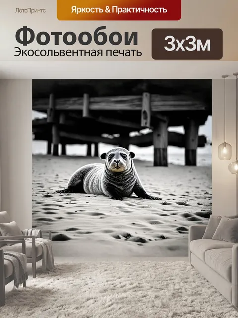 Фотообои **морской теленок серого тюленя