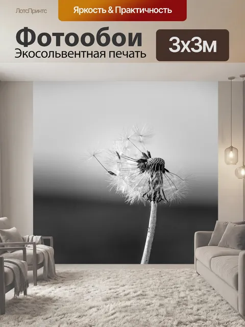 Фотообои Одуванчик