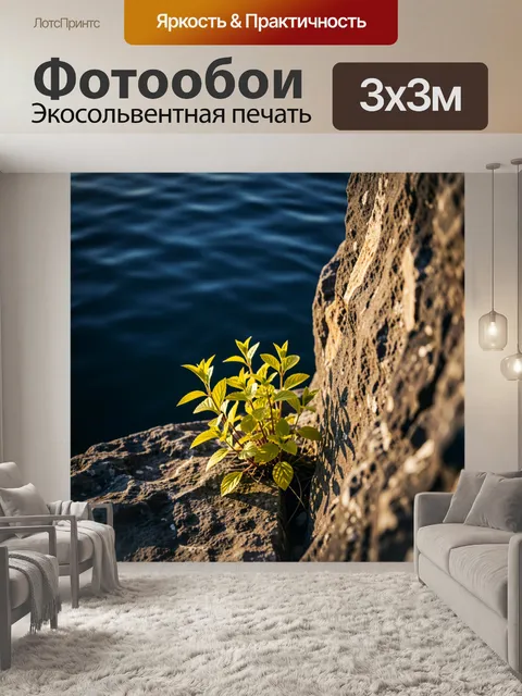 Фотообои Зелёный росток у камней