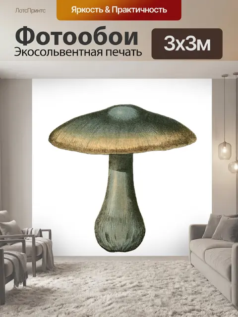 Фотообои Винтаж Клипарт Гриб Чемпион