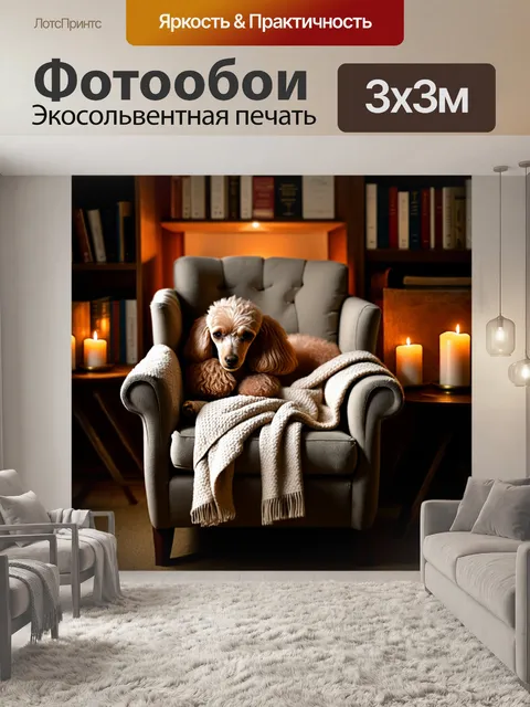 Фотообои пудель, мирно спящий в уютном кресле с пледом, окруженный мягким светом свечей и книгами на полках