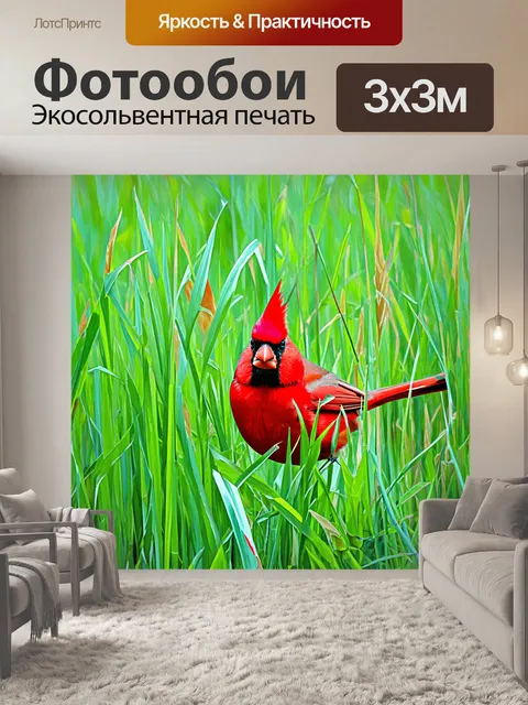Фотообои кардинал, скрывающийся среди длинной травы на летнем поле, его красный цвет плавно становится частью общей…