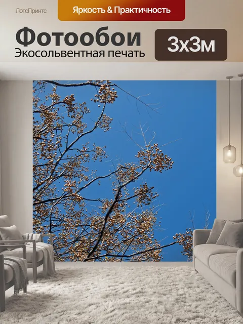 Фотообои дерево сиринги с гроздьями семян