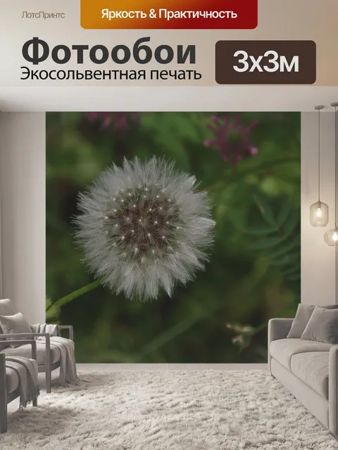 Фотообои Одуванчик на лугу сверху