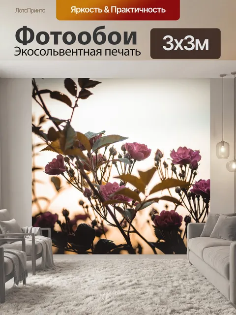 Фотообои Роза