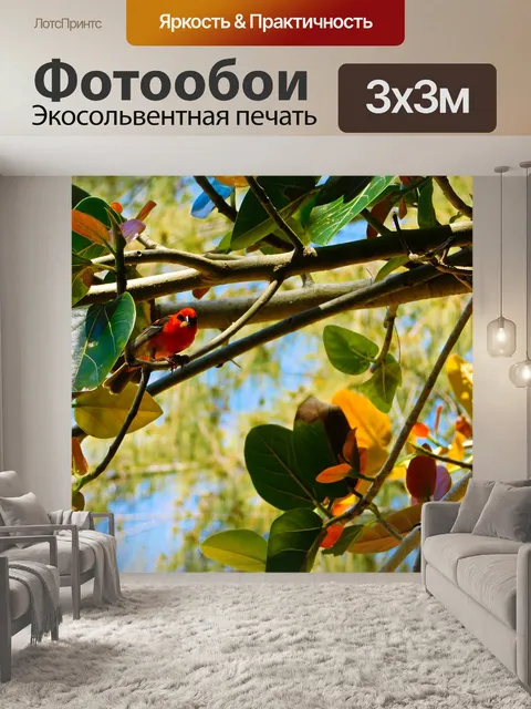 Фотообои Красная птица