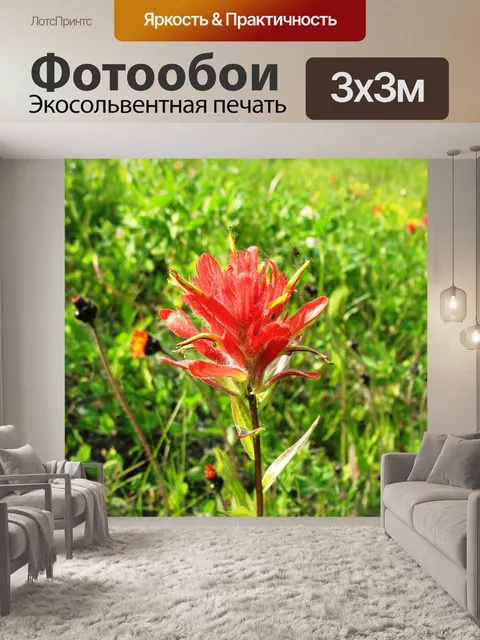 Фотообои Индийская кисть