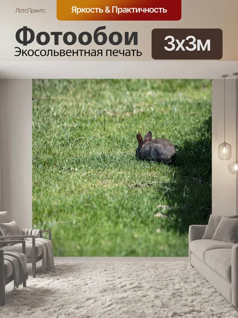 Фотообои кролик