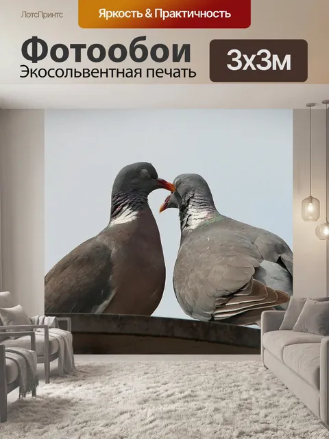 Фотообои Голуби