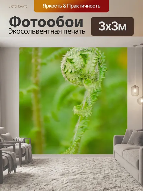 Фотообои папоротник-орляк
