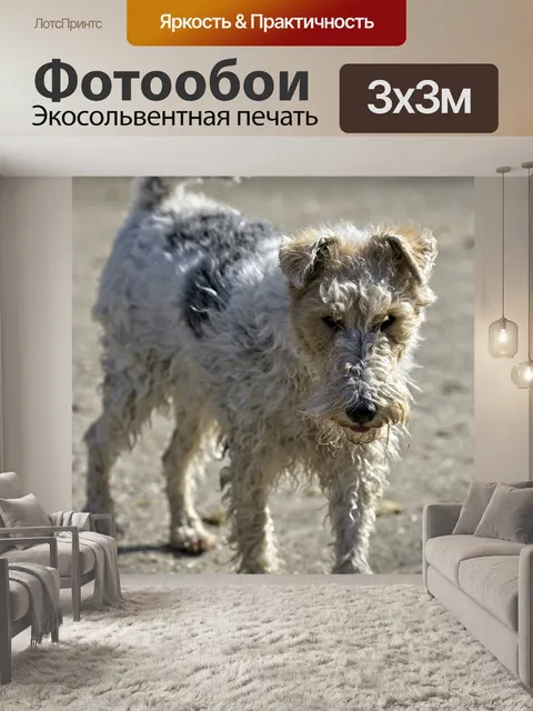 Фотообои Фокстерьер