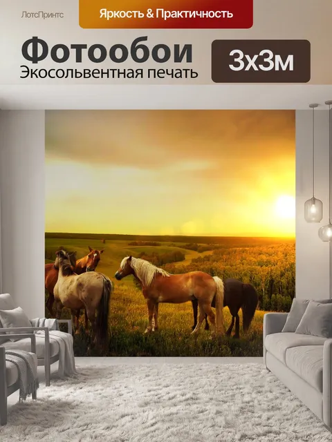 Фотообои Лошади