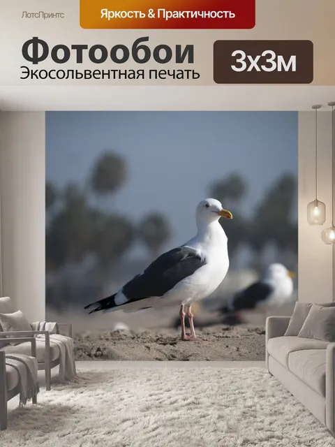 Фотообои чайка