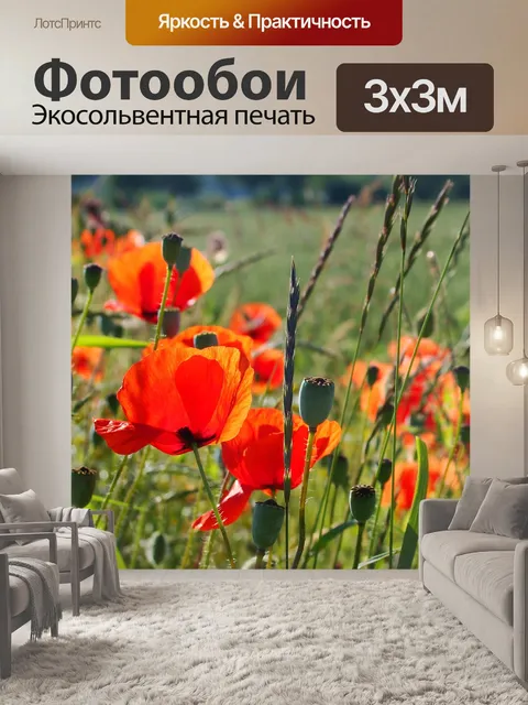 Фотообои Маки