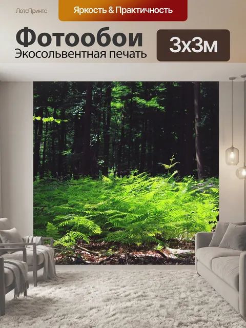 Фотообои Папоротник