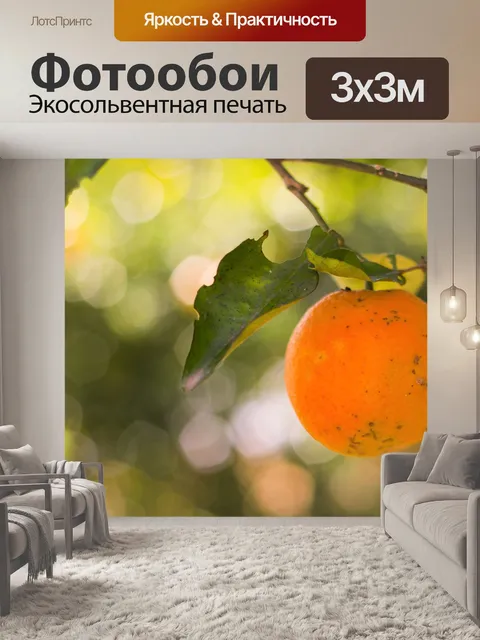 Фотообои Оранжевый