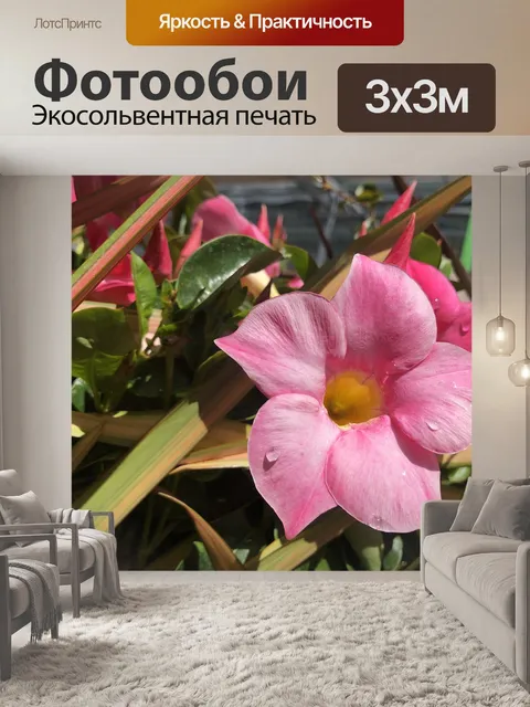 Фотообои Розовый