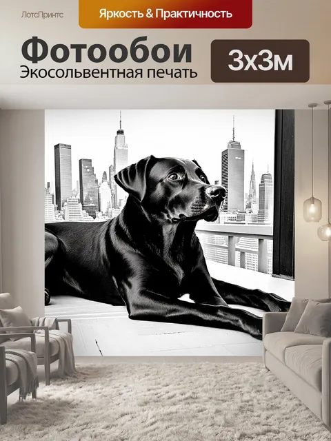 Фотообои сцена, где черный лабрадор ретривер лежит на террасе, созерцая мир вокруг, на фоне городского пейзажа