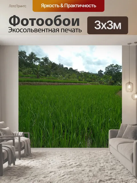 Фотообои Природа