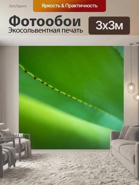 Фотообои Деталь Алоэ Вера