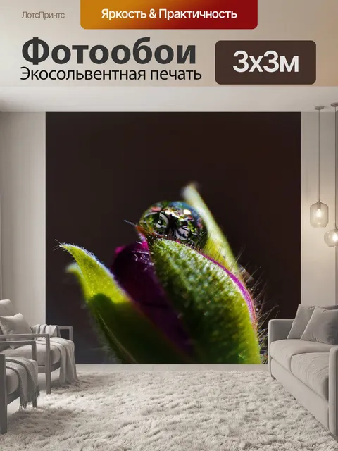 Фотообои Есть
