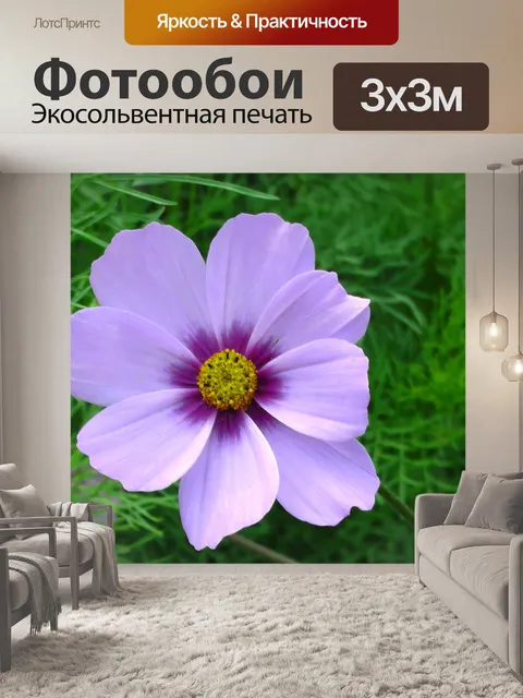 Фотообои Одинокий цветок сирени